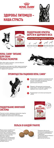 Royal Canin Medium Adult Корм сухой для взрослых собак средних размеров от 12 месяцев до 7 лет