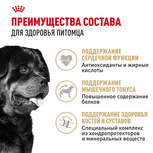 Royal Canin Rottweiler Adult Корм сухой для взрослых собак породы Ротвейлер от 18 месяцев