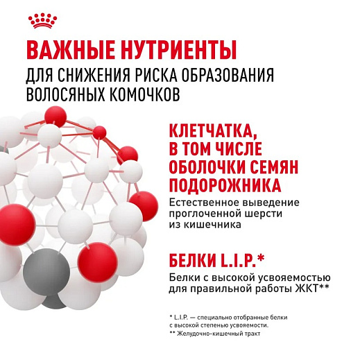 Royal Canin Hairball Care Корм сухой для взрослых кошек для профилактики образования волосяных комочков