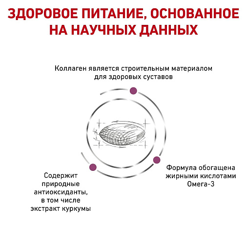 Royal Canin Mobility C2P+ Корм сухой полнорационный для взрослых собак с повышенной чувствительностью суставов