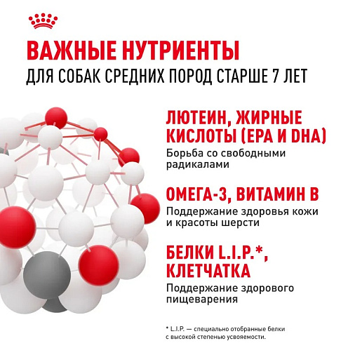 Royal Canin Medium Adult 7+ Корм сухой для взрослых собак средних размеров от 7 лет и старше