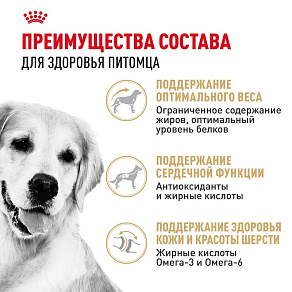 Royal Canin Golden Retriever Adult Корм сухой для взрослых собак породы Голден Ретривер от 15 месяцев