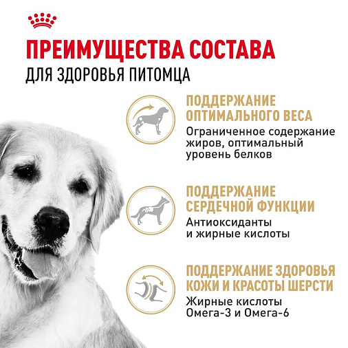 Royal Canin Golden Retriever Adult Корм сухой для взрослых собак породы Голден Ретривер от 15 месяцев