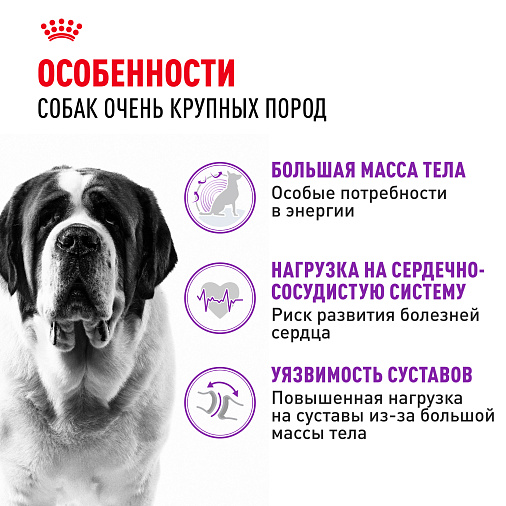 Royal Canin Giant Adult Корм сухой для взрослых собак очень крупных размеров от 18 месяцев