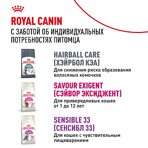 Royal Canin Indoor 7+ Корм сухой полнорационный сбалансированный для стареющих кошек (в возрасте от 7 до 12 лет), живущих в помещении