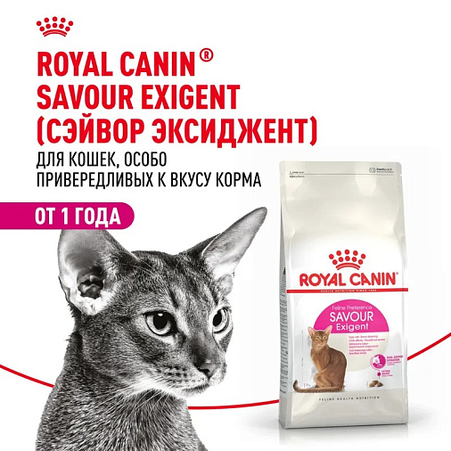 Royal Canin Savour Exigent Корм сухой сбалансированный для привередливых взрослых кошек от 1 года