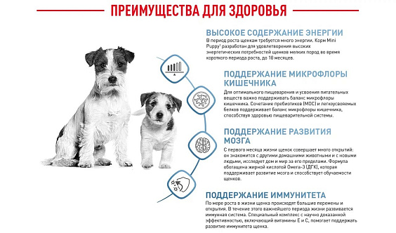 Royal Canin Mini Puppy Корм сухой для щенков мелких пород в возрасте до 10 месяцев
