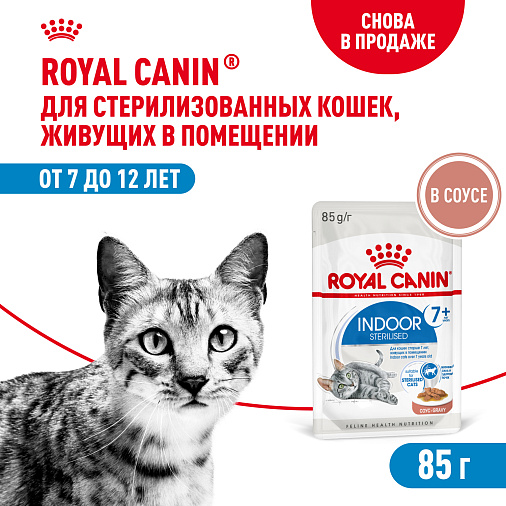 Royal Canin INDOOR STERILISED 7+ Корм консервированный полнорационный для кошек (в возрасте от 7 до 12 лет), живущих в помещении (мелкие кусочки в соусе)