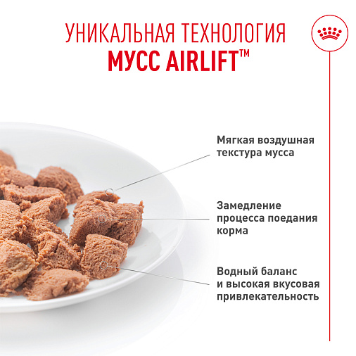 Royal Canin Digestive Care AirLift™ Корм консервированный полнорационный для взрослых кошек (мусс AirLift™)