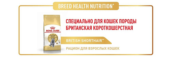 Royal Canin British Shorthair Adult Корм сухой сбалансированный для взрослых британских короткошерстных кошек