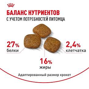 Royal Canin Mini Urinary Care Корм сухой для собак мелких размеров с чувствительной мочевыделительной системой