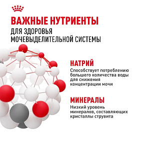 Royal Canin Mini Urinary Care Корм сухой для собак мелких размеров с чувствительной мочевыделительной системой