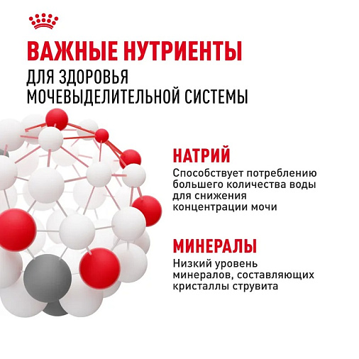 Royal Canin Mini Urinary Care Корм сухой для собак мелких размеров с чувствительной мочевыделительной системой