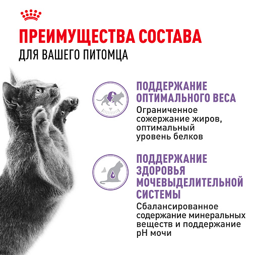 Royal Canin Sterilised Корм консервированный для взрослых кошек в желе