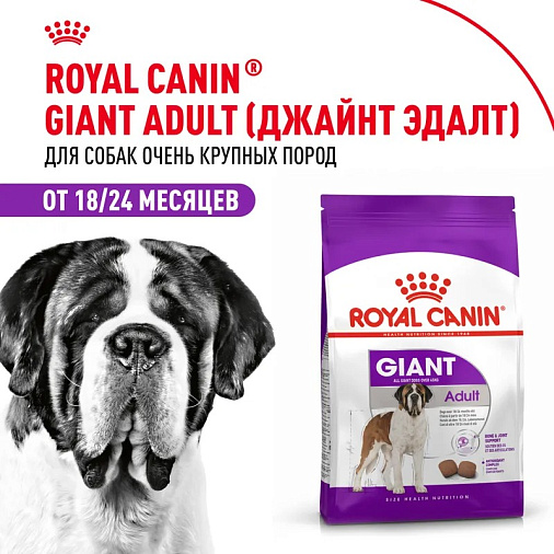 Royal Canin Giant Adult Корм сухой для взрослых собак очень крупных размеров от 18 месяцев