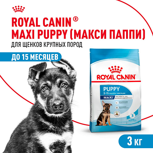 Royal Canin Maxi Puppy Корм сухой для щенков крупных размеров в возрасте до 15 месяцев