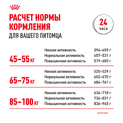 Royal Canin Giant Adult Корм сухой для взрослых собак очень крупных размеров от 18 месяцев