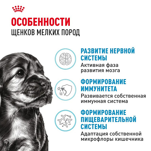 Royal Canin Mini Puppy Корм сухой для щенков мелких пород в возрасте до 10 месяцев