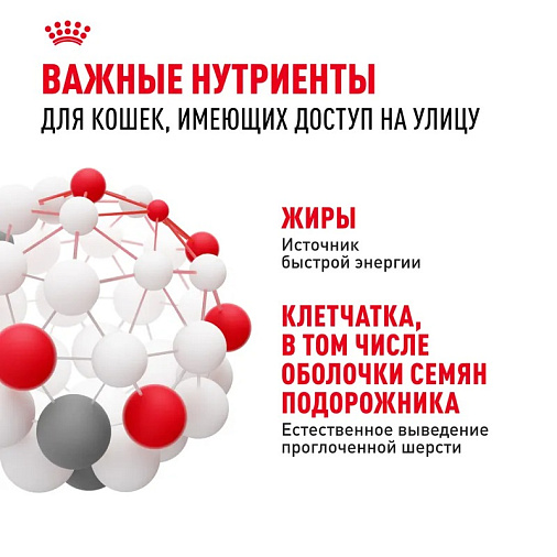 Royal Canin Fit 32 Корм сухой сбалансированный для взрослых умеренно активных кошек от 1 года