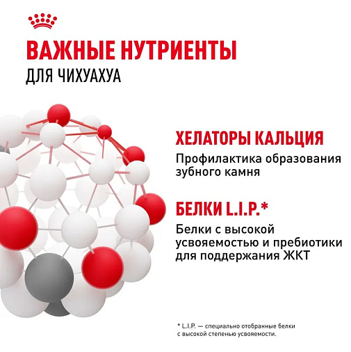 Royal Canin Chihuahua Adult Корм сухой для взрослых собак породы Чихуахуа от 8 месяцев