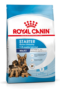 Royal Canin Maxi Starter Корм сухой для щенков крупных размеров до 2-х месяцев, беременных и кормящих сук