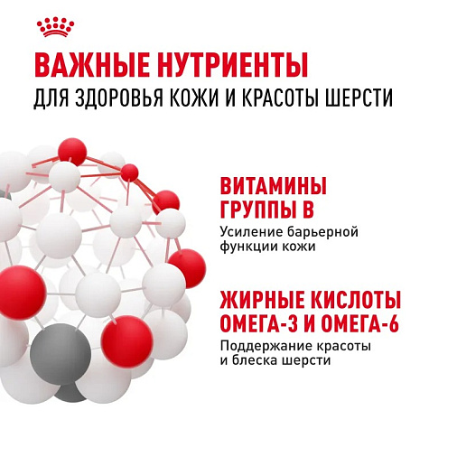 Royal Canin Maxi Dermacomfort Корм сухой для взрослых собак крупных размеров при раздражениях и зуде кожи