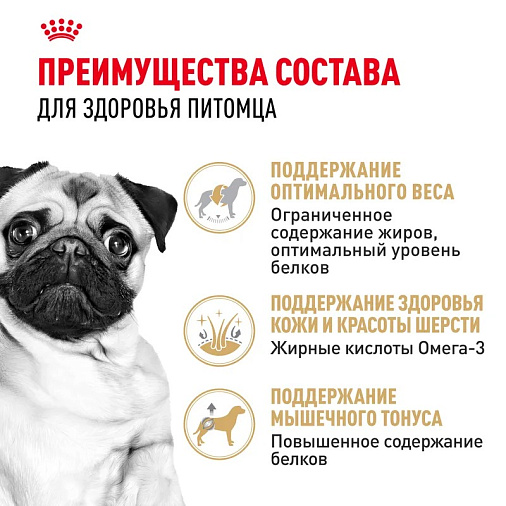 Royal Canin Pug Adult Корм сухой для взрослых собак породы Мопс от 10 месяцев