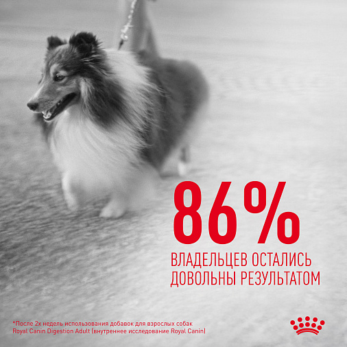 Royal Canin Skin&Coat Chews лакомство взрослых собак, дополнительное питание для поддержания здоровья кожи и шерсти