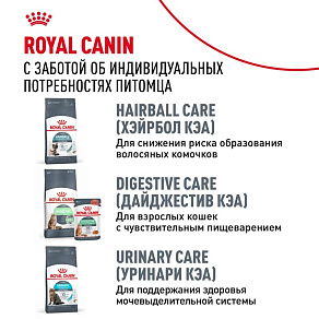 Royal Canin Hair&Skin Care Корм сухой для взрослых кошек для поддержания здоровья кожи и шерсти