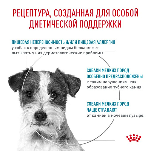 Royal Canin HYPOALLERGENIC SMALL DOGS (ГИПОАЛЛЕРДЖЕНИК СМОЛ ДОГЗ) Корм сухой для взрослых собак мелких пород при пищевой аллергии