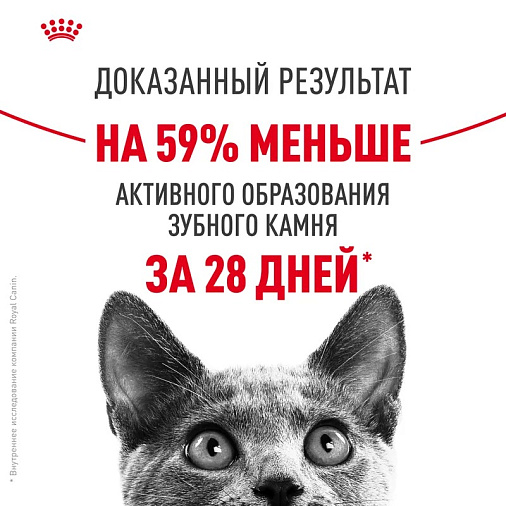 Royal Canin Dental Care Корм сухой полнорационный сбалансированный для взрослых кошек