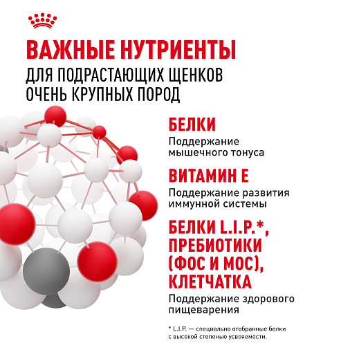 Royal Canin Giant Junior Корм сухой  для щенков очень крупных пород  в возрасте от 8 до 18/24 месяцев