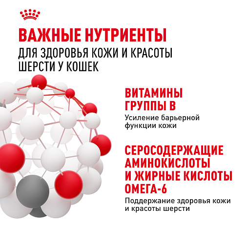 Royal Canin Hair&Skin Care Корм консервированный полнорационный для взрослых кошек для поддержания здоровья кожи и красоты шерсти, тонкие ломтики в желе