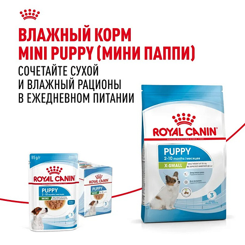 Royal Canin X-Small Puppy Корм сухой для щенков очень мелких размеров до 10 месяцев