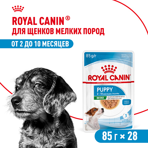 Royal Canin Корм для щенков мелких пород (Mini Puppy), кусочки в соусе
