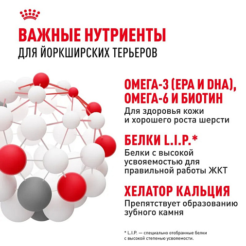 Royal Canin Yorkshire Terrier Adult Корм сухой для взрослых собак породы Йоркширский Терьер от 10 месяцев
