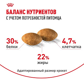 Royal Canin Persian Adult Корм сухой сбалансированный для взрослых персидских кошек от 12 месяцев