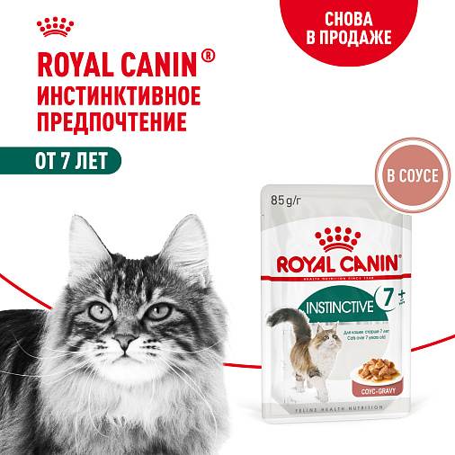 Royal Canin Корм для кошек с инстинктивным предпочтением в возрасте старше 7 лет (Instinctive 7+), мелкие кусочки в соусе