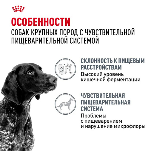 Royal Canin Maxi Digestive Care Корм сухой для взрослых собак больших размеров с чувствительным пищеварением