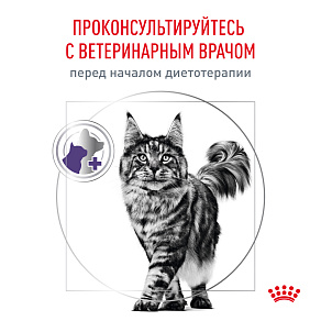 Royal Canin NEUTERED MAINTENANCE (НЬЮТРИД МЭЙНТЕНЭНС) Корм влажный для взрослых стерилизованных кошек
