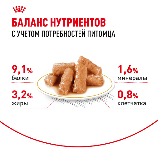 Royal Canin British Shorthair Adult Корм консервированный для взрослых британских короткошерстных кошек,соус