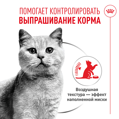 Royal Canin Appetite Control Care AirLift™ Корм консервированный полнорационный для взрослых кошек (мусс AirLift™)