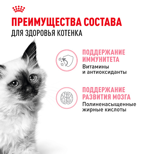 Royal Canin Kitten Gravy Корм консервированный полнорационный для кошек - Специально для котят в период второй фазы роста в возрасте до 12 месяцев, кусочки в соусе