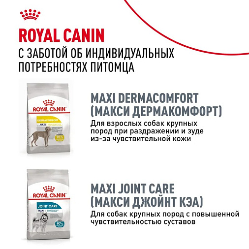 Royal Canin Maxi Digestive Care Корм сухой для взрослых собак больших размеров с чувствительным пищеварением