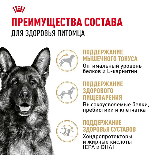 Royal Canin German Shepherd Adult Корм сухой для взрослых собак породы Немецкая Овчарка от 15 месяцев