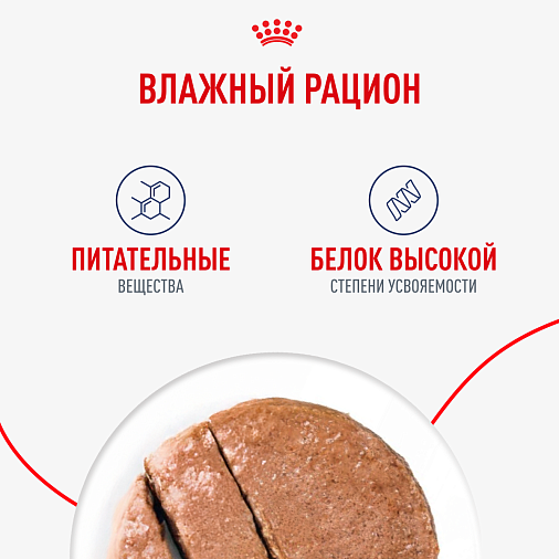 Royal Canin Maxi Adult Влажный корм для взрослых собак крупных размеров от 15 месяцев