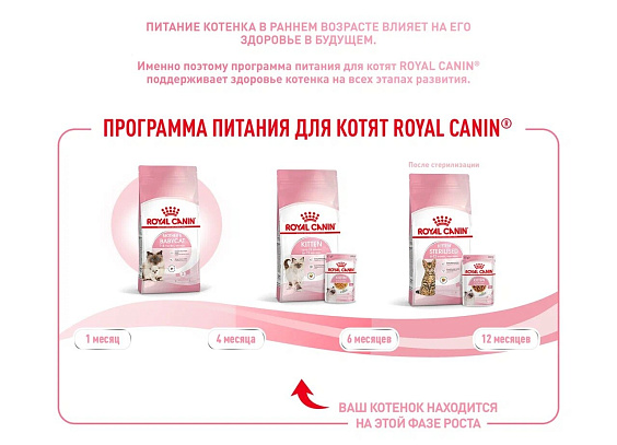 Royal Canin Kitten Корм сухой сбалансированный для котят в период второй фазы роста до 12 месяцев