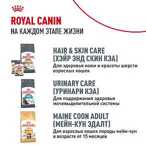 Royal Canin Maine Coon Kitten Корм сухой сбалансированный для котят породы Мэйн Кун