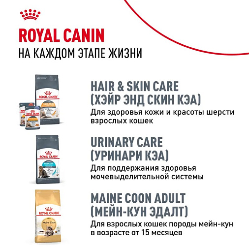 Royal Canin Maine Coon Kitten Корм сухой сбалансированный для котят породы Мэйн Кун