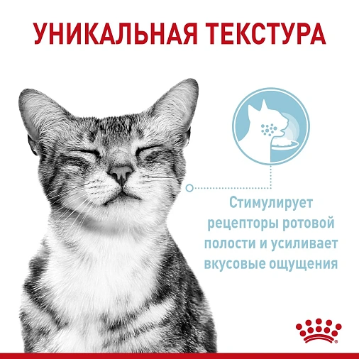 Royal Canin Sensory ощущения Полнорационный влажный корм для взрослых котов, стимулирующий вкусовые рецепторы для распознавания уникальных текстур (в желе)